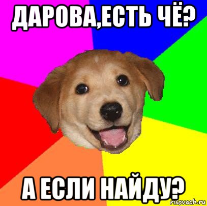 дарова,есть чё? а если найду?, Мем Advice Dog