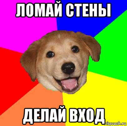 ломай стены делай вход, Мем Advice Dog