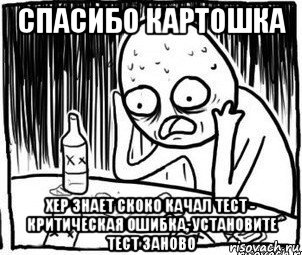 спасибо картошка хер знает скоко качал тест - критическая ошибка, установите тест заново, Мем Алкоголик-кадр