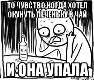 то чувство,когда хотел окунуть печеньку в чай и она упала, Мем Алкоголик-кадр