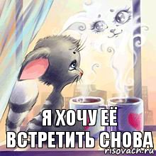 я хочу её встретить снова