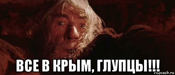  все в крым, глупцы!!!, Мем бегите глупцы