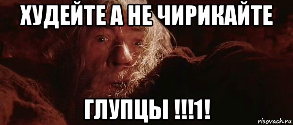 худейте а не чирикайте глупцы !!!1!, Мем бегите глупцы