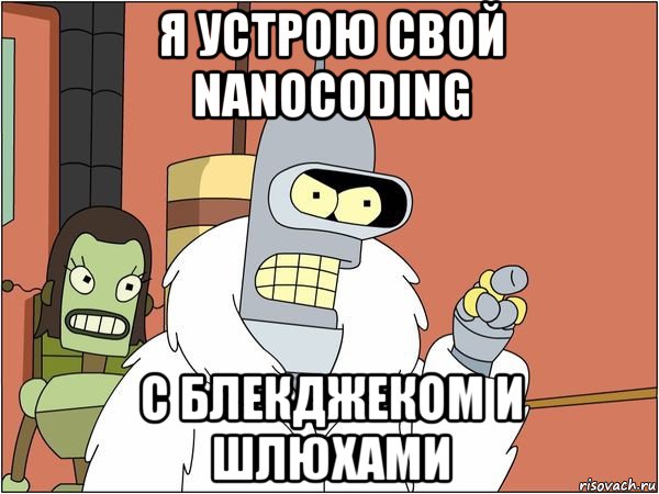 я устрою свой nanocoding с блекджеком и шлюхами, Мем Бендер