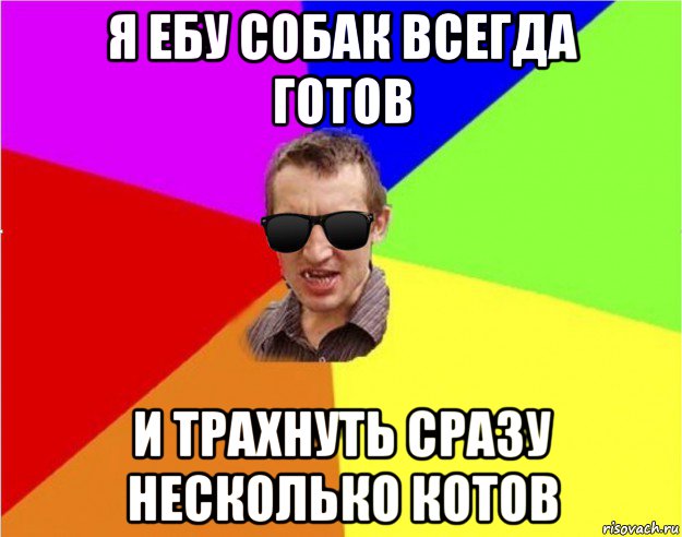 я ебу собак всегда готов и трахнуть сразу несколько котов, Мем Чьоткий двiж