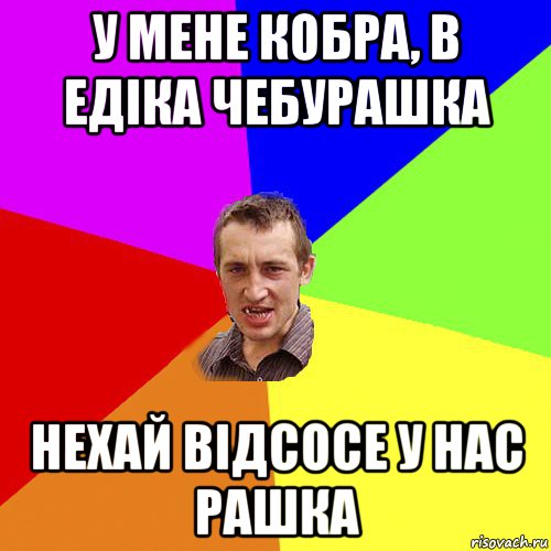 у мене кобра, в едіка чебурашка нехай відсосе у нас рашка, Мем Чоткий паца