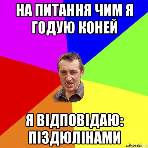 на питання чим я годую коней я відповідаю: піздюлінами, Мем Чоткий паца