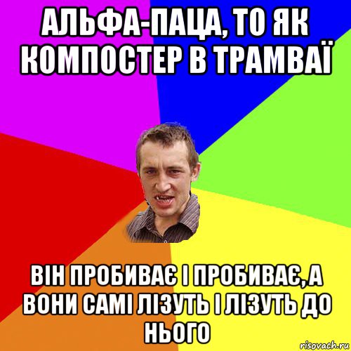 альфа-паца, то як компостер в трамваї він пробиває і пробиває, а вони самі лізуть і лізуть до нього, Мем Чоткий паца