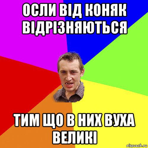 осли від коняк відрізняються тим що в них вуха великі, Мем Чоткий паца