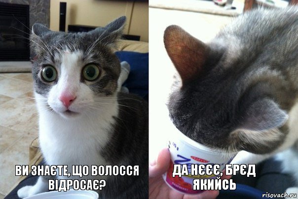 Ви знаєте, що волосся відросає? Да нєєє, брєд якийсь, Комикс  Да не бред-какой-то (2 зоны)