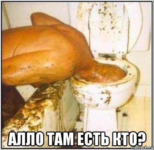  алло там есть кто?, Мем Дайвер