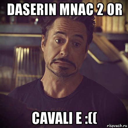 daserin mnac 2 or cavali e :((, Мем   дауни фиг знает