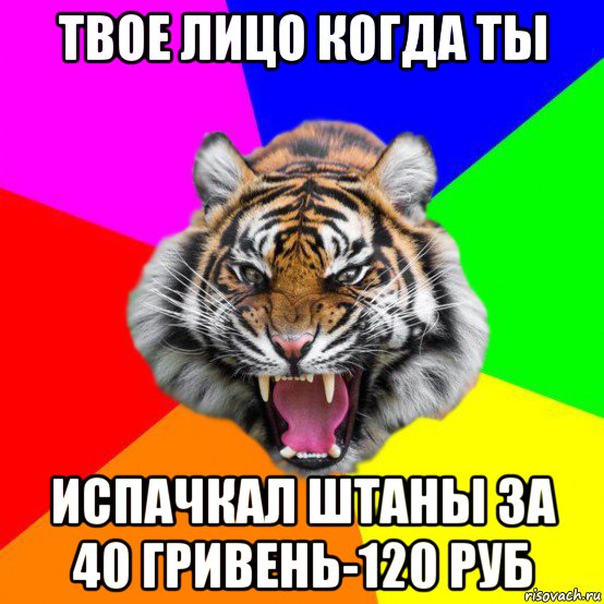 твое лицо когда ты испачкал штаны за 40 гривень-120 руб, Мем  ДЕРЗКИЙ ТИГР