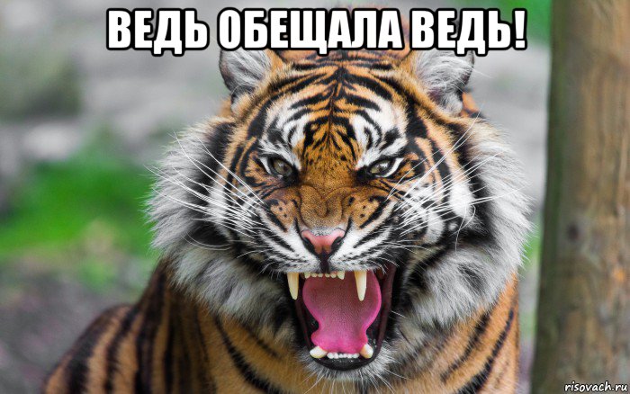 ведь обещала ведь! 