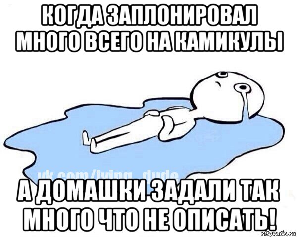 когда заплонировал много всего на камикулы а домашки задали так много что не описать!, Мем Этот момент когда