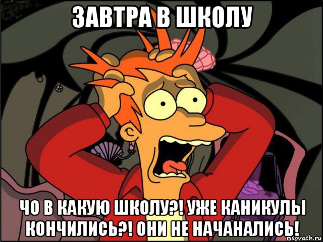 завтра в школу чо в какую школу?! уже каникулы кончились?! они не начанались!, Мем Фрай в панике