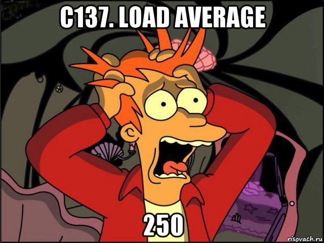 c137. load average 250, Мем Фрай в панике