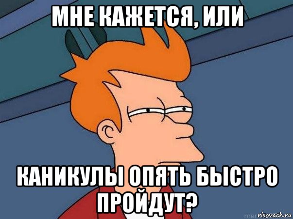 мне кажется, или каникулы опять быстро пройдут?, Мем  Фрай (мне кажется или)