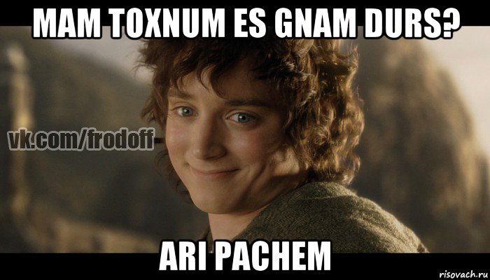 mam toxnum es gnam durs? ari pachem, Мем  Фродо