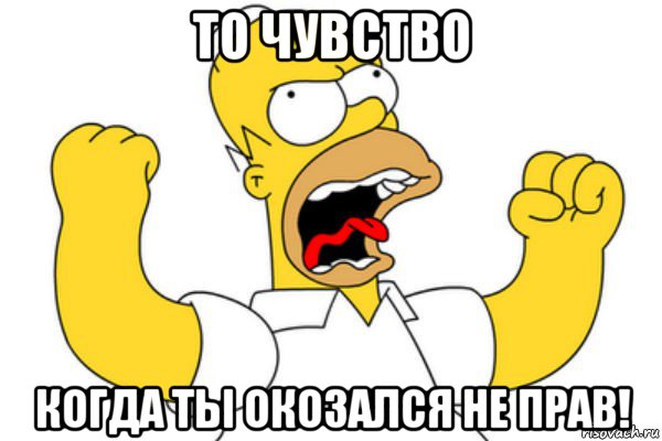 то чувство когда ты окозался не прав!, Мем Разъяренный Гомер