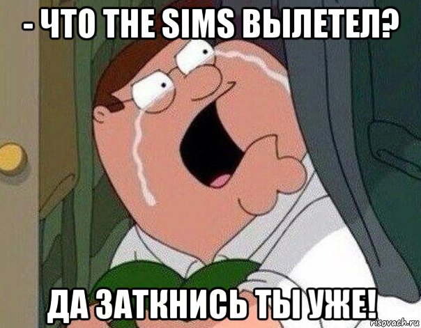 - что the sims вылетел? да заткнись ты уже!, Мем Гриффин плачет