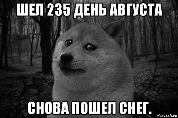 шел 235 день августа снова пошел снег., Мем    Грусть-пичаль