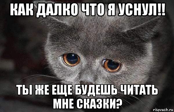 как далко что я уснул!! ты же еще будешь читать мне сказки?, Мем  Грустный кот