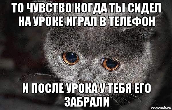 то чувство когда ты сидел на уроке играл в телефон и после урока у тебя его забрали, Мем  Грустный кот