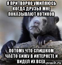 я притворно умиляюсь когда друзья мне показывают котиков потому что слишком часто сижу в интернете и видел их всех, Мем грустный медведь