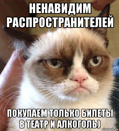 ненавидим распространителей покупаем только билеты в театр и алкоголь), Мем Грустный (сварливый) кот