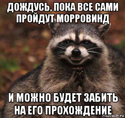 дождусь, пока все сами пройдут морровинд и можно будет забить на его прохождение, Мем  Хитрый енот