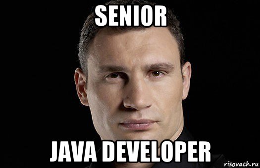 senior java developer, Мем Кличко