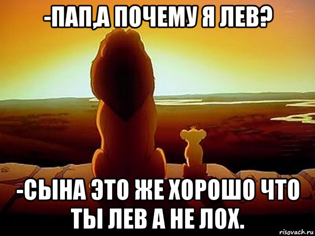 -пап,а почему я лев? -сына это же хорошо что ты лев а не лох., Мем  король лев