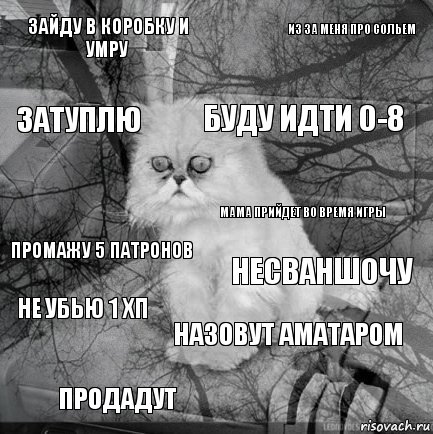 Зайду в коробку и умру Несваншочу Буду идти 0-8 Продадут Промажу 5 патронов Из за меня про сольем Назовут аматаром Затуплю Не убью 1 хп Мама прийдет во время игры, Комикс  кот безысходность