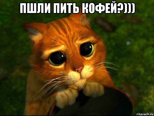 пшли пить кофей?))) , Мем кот из шрека