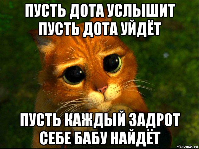 пусть дота услышит пусть дота уйдёт пусть каждый задрот себе бабу найдёт, Мем кот из шрека