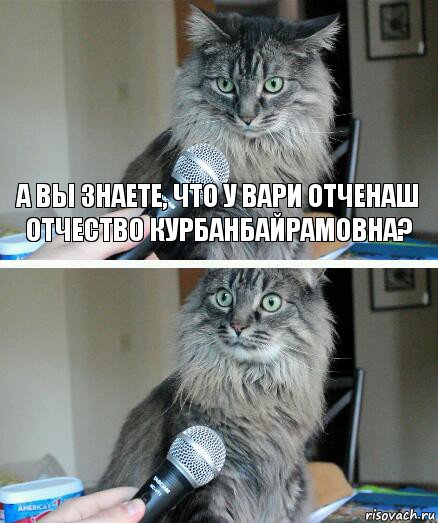 а вы знаете, что у Вари Отченаш отчество Курбанбайрамовна? , Комикс  кот с микрофоном