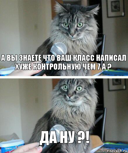 А вы знаете что ваш класс написал хуже контрольную чем 7 а ? Да ну ?!, Комикс  кот с микрофоном