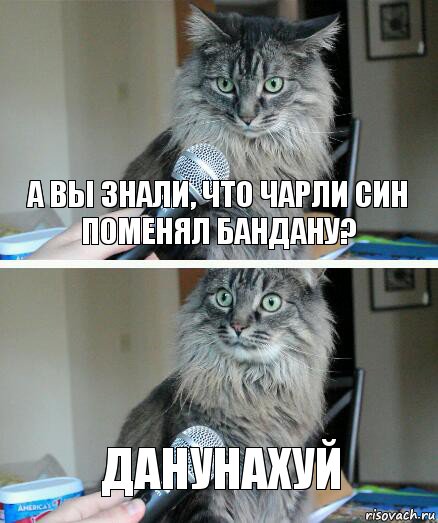 А вы знали, что Чарли Син поменял бандану? Данунахуй, Комикс  кот с микрофоном