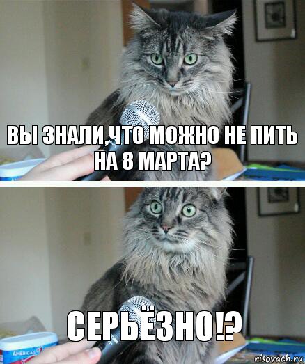 Вы знали,что можно не пить на 8 марта? Серьёзно!?, Комикс  кот с микрофоном