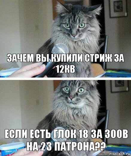 Зачем вы купили стриж за 12кв если есть Глок 18 за 300в на 23 патрона??, Комикс  кот с микрофоном