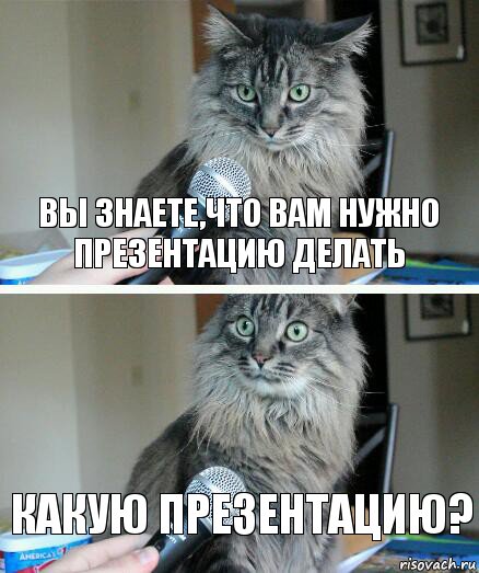 Вы знаете,что вам нужно презентацию делать Какую презентацию?, Комикс  кот с микрофоном