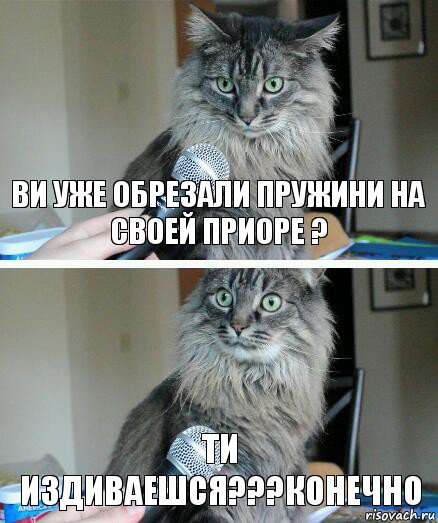 Ви уже обрезали пружини на своей приоре ? Ти издиваешся???Конечно, Комикс  кот с микрофоном