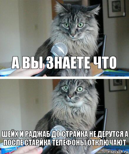 а вы знаете что шейх и раджаб до страйка не дерутся а после старйка телефоны отключают, Комикс  кот с микрофоном