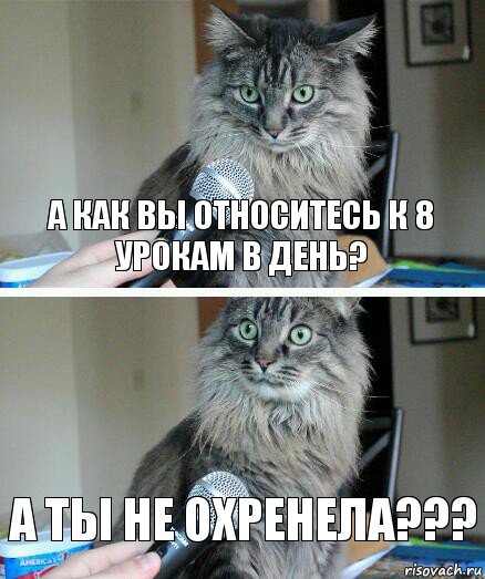 А как вы относитесь к 8 урокам в день? А ты не охренела???, Комикс  кот с микрофоном