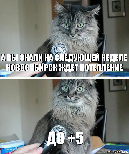 А вы знали на следующей неделе Новосибирск ждет потепление до +5, Комикс  кот с микрофоном