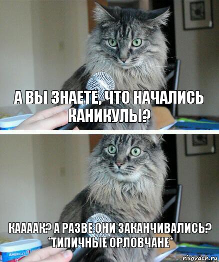 А вы знаете, что начались каникулы? Каааак? А разве они заканчивались?
*Типичные Орловчане*, Комикс  кот с микрофоном