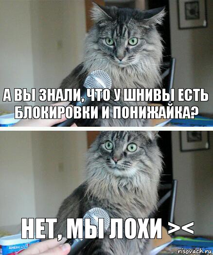 А вы знали, что у Шнивы есть блокировки и понижайка? Нет, мы лохи ><, Комикс  кот с микрофоном