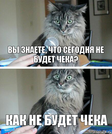 Вы знаете, что сегодня не будет чека? КАК не будет чека, Комикс  кот с микрофоном