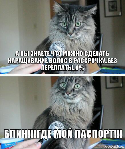 А Вы знаете,что можно сделать наращивание волос в рассрочку..без переплаты..0% БЛИН!!!ГДЕ МОЙ ПАСПОРТ!!!, Комикс  кот с микрофоном